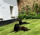 Brook Farmhouse - Gallery - picture 