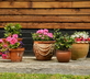 Brook Farmhouse - Gallery - picture 