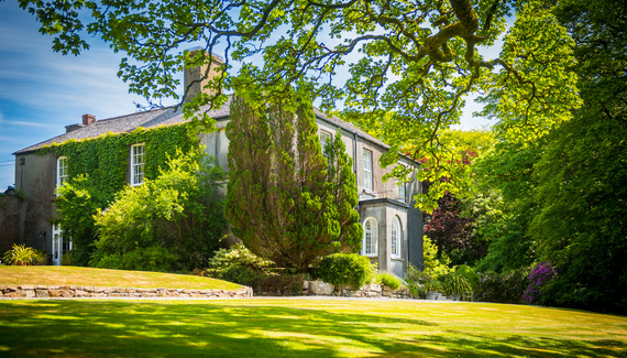 Burnville House - gallery