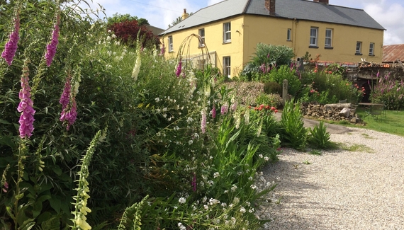 Frizenham Farmhouse B&B - Gallery
