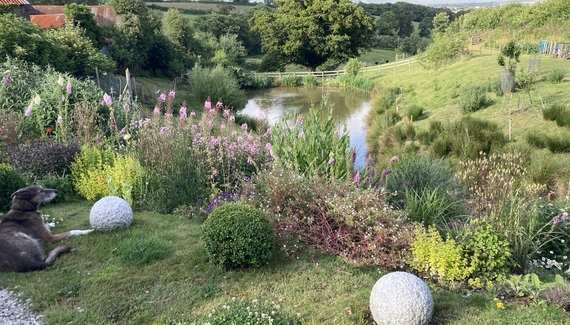 Frizenham Farmhouse B&B - Gallery