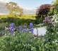 Frizenham Farmhouse B&B - Gallery - picture 