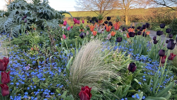 Frizenham Farmhouse B&B - Gallery