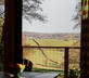 Glebe House - Gallery - picture 