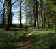 Horry Mill - Gallery - picture 