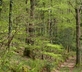 Horry Mill - Gallery - picture 
