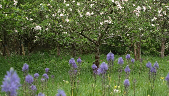Horry Mill - Gallery