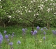 Horry Mill - Gallery - picture 