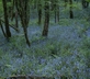 Horry Mill - Gallery - picture 