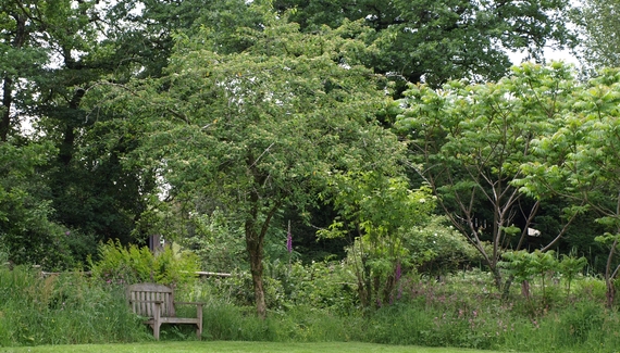 Horry Mill - Gallery