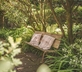 Ivy Studio - Gallery - picture 