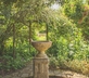 Ivy Studio - Gallery - picture 