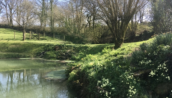 Little Yeo - Gallery