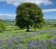 Meadow Barn at Bottle Farm - Gallery - picture 