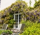Plantation House - gallery - picture 