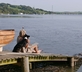 South Hooe Count House - Gallery - picture 