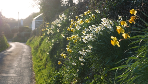 South Hooe Count House - Gallery