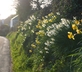 South Hooe Count House - Gallery - picture 