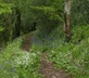 South Hooe Count House - Gallery - picture 