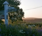 South Hooe Count House - Gallery - picture 