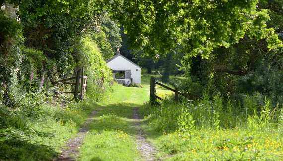 South Hooe Count House - Gallery