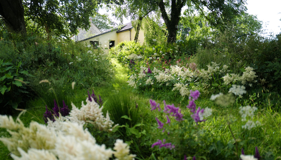 The Artist Barn - Gallery