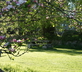 The Barn & The Gallery - Gallery - picture 