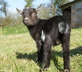 The Barn & The Gallery - Gallery - picture 