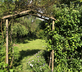 The Barn - Gallery - picture 
