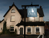 The Duck at  Yeoford