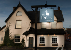 The Duck at  Yeoford