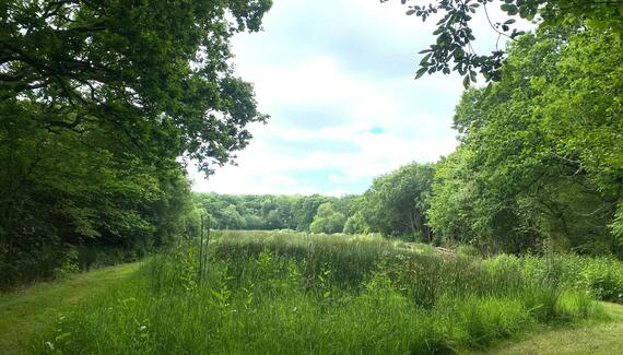 The Old Piggery, Kerswell Farm - Gallery