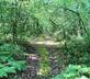The Old Piggery, Kerswell Farm - Gallery - picture 