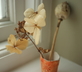 The Orangery - Gallery - picture 