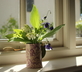 The Orangery - Gallery - picture 