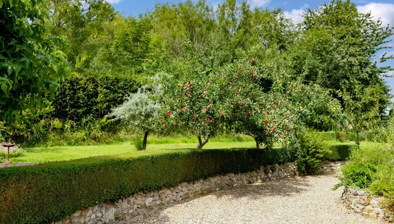 Underhill Barn - Gallery