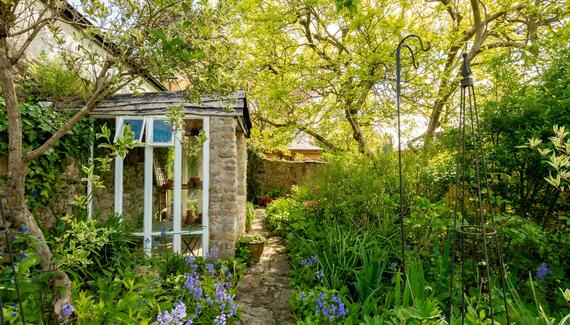 Blackbird Cottage - Gallery