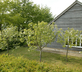 Fox Ditch - Gallery - picture 