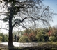Grooms Cottage - Gallery - picture 
