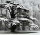 Grooms Cottage - Gallery - picture 