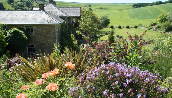 West Compton Manor - Gallery