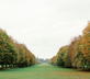 Pepperpot Lodges - Gallery - picture 