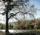 Pepperpot Lodges - Gallery - picture 