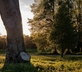 Pepperpot Lodges - Gallery - picture 