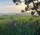 The Garden House at Holway Mill - Gallery - picture 