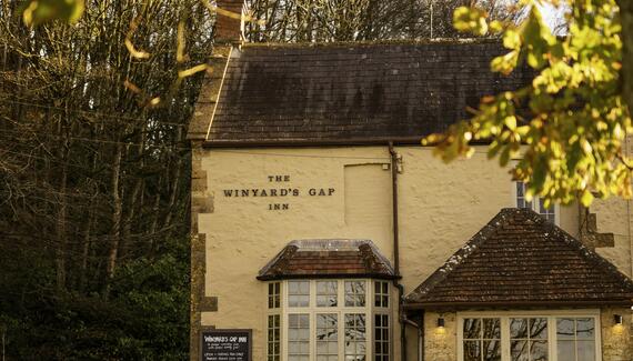 The Winyard's Gap Inn - Gallery
