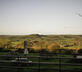 The Winyard's Gap Inn - Gallery - picture 