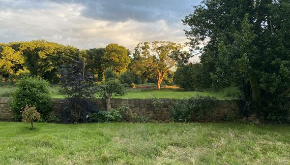 North Farm - Gallery