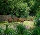 Romaldkirk Hall Stables - Gallery - picture 