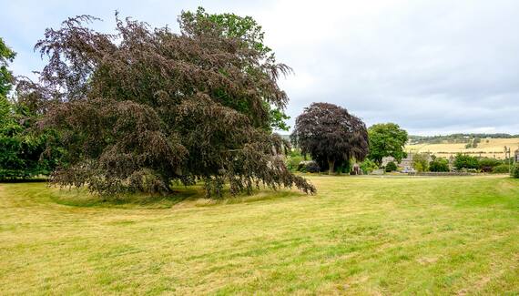 Romaldkirk Hall Stables - Gallery